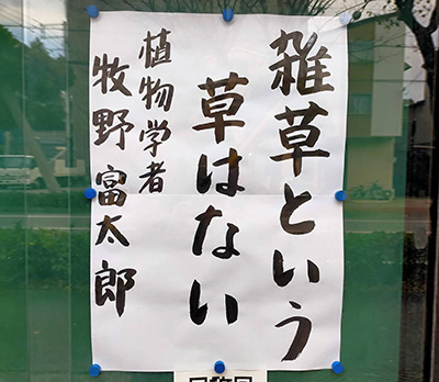 父の愛した音を聴いてください。そこに小澤征爾は、いますｂｙ 小澤征悦（俳優）